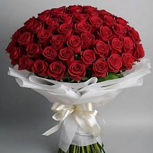 Букет 101 Красная роза Блэк Мэджик #REPLACE_PRED# Таврическом