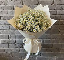 Букет цветов из:  Ромашки в Таврическом