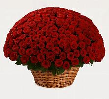 Премиум букет из: Розы в Таврическом